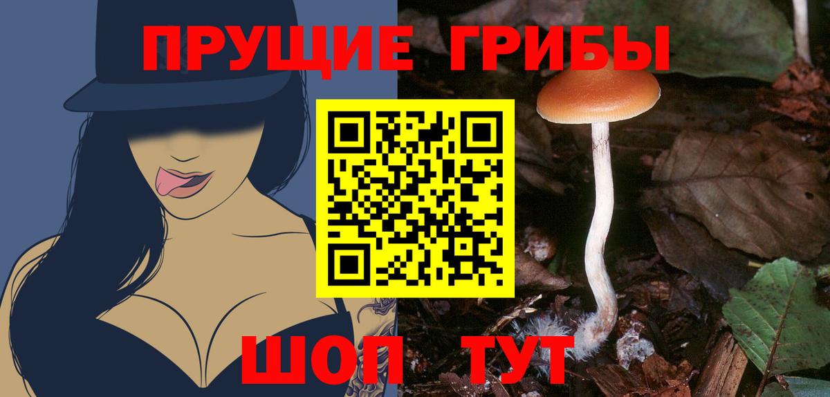 Псилоцибиновые грибы Magic Shrooms  Галлюциногенные грибы Psilocybine cubensis  Каменск-Уральский  Вход с VPN 