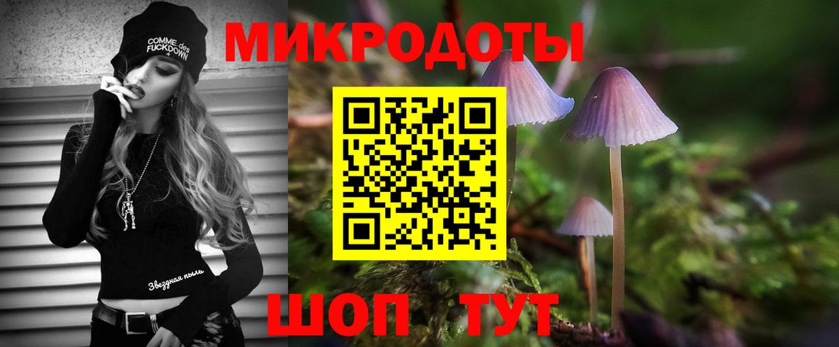 Галлюциногенные грибы мухоморы Каменск-Уральский